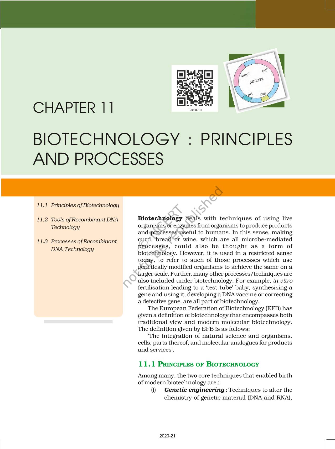 thesis in biotechnology
